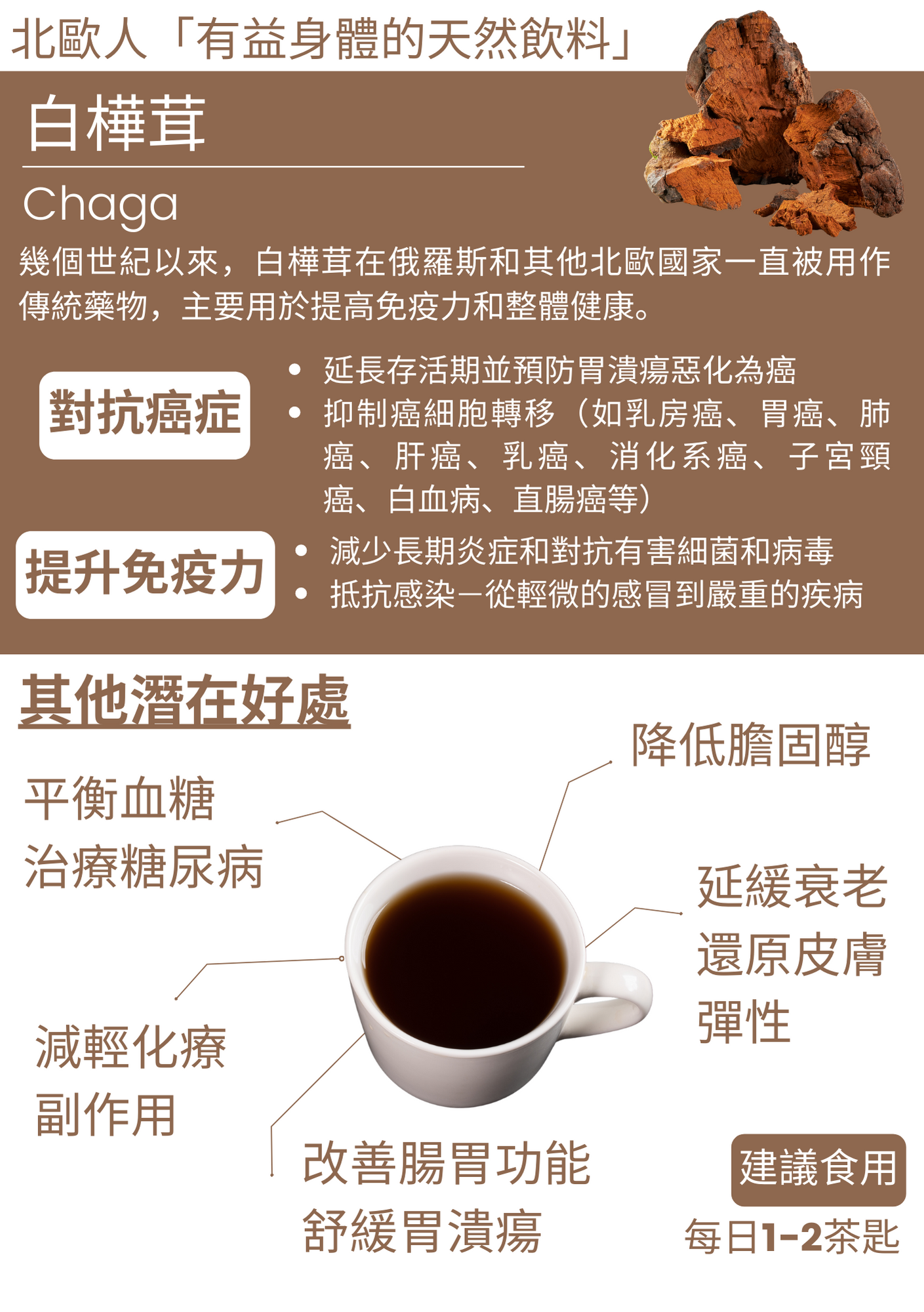 ORGANIC CHAGA POWDER