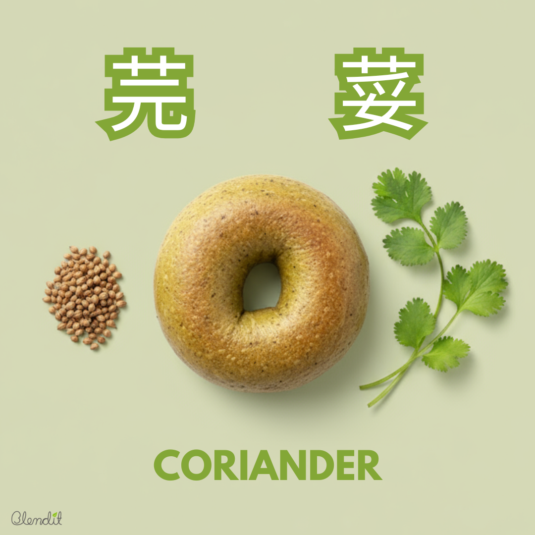Coriander Bagel