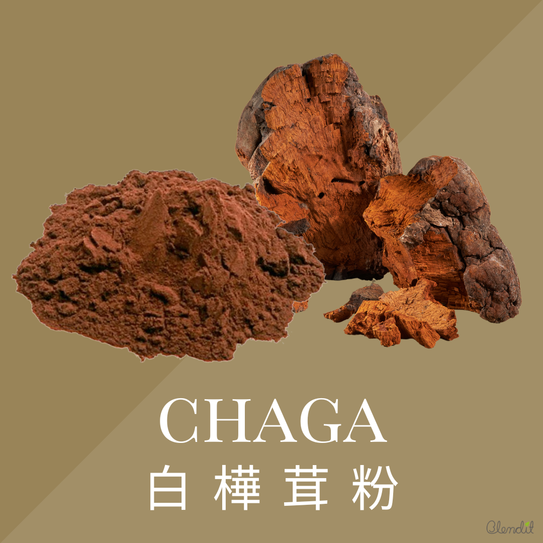 ORGANIC CHAGA POWDER – Blendit Hong Kong Ltd
