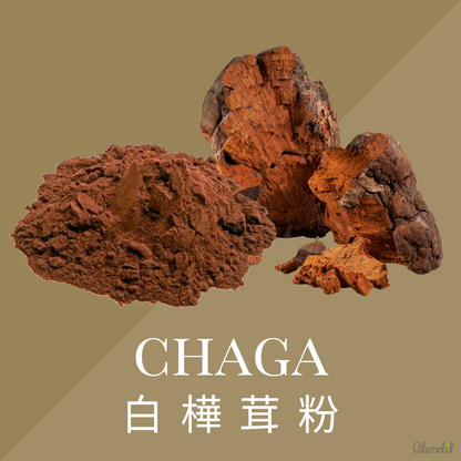 ORGANIC CHAGA POWDER
