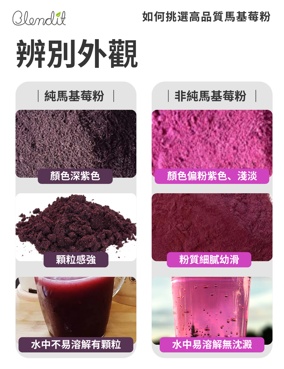 ORGANIC MAQUI BERRY POWDER