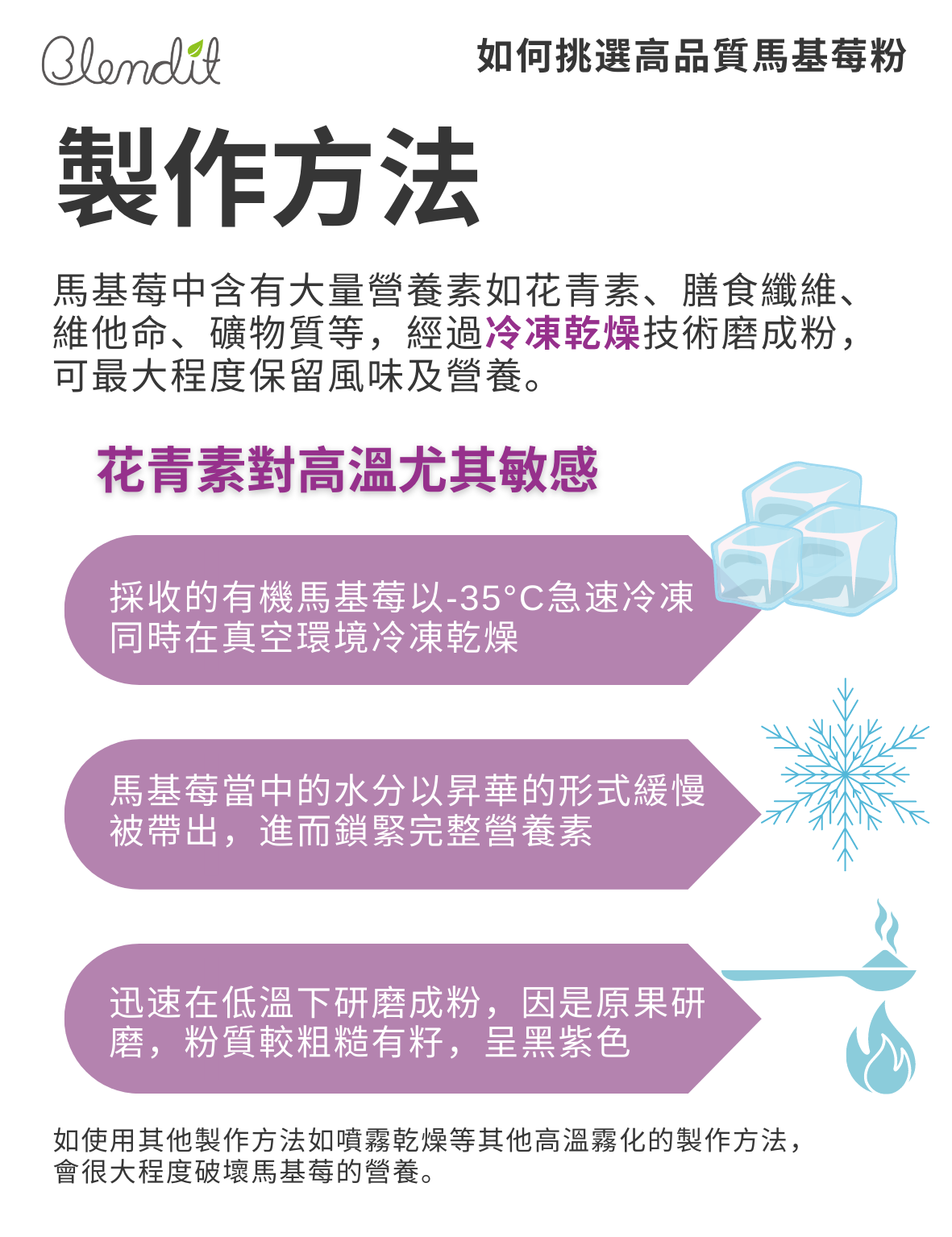 ORGANIC MAQUI BERRY POWDER