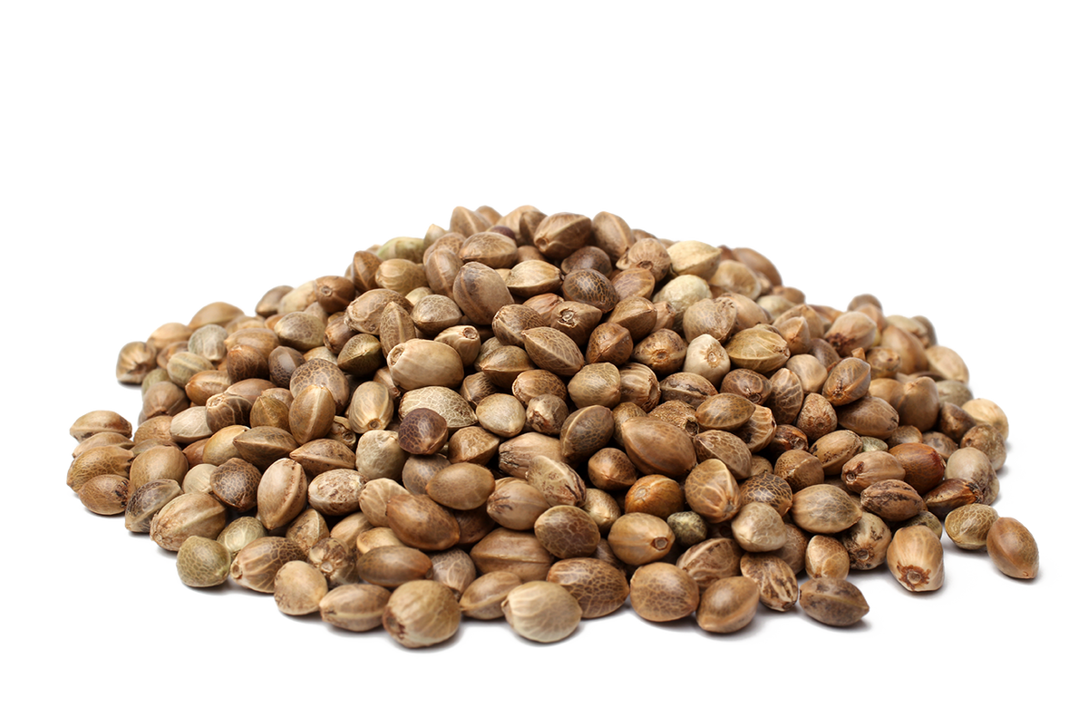 ORGANIC HEMP SEED PROTEIN POWDER Blendit Hong Kong Ltd