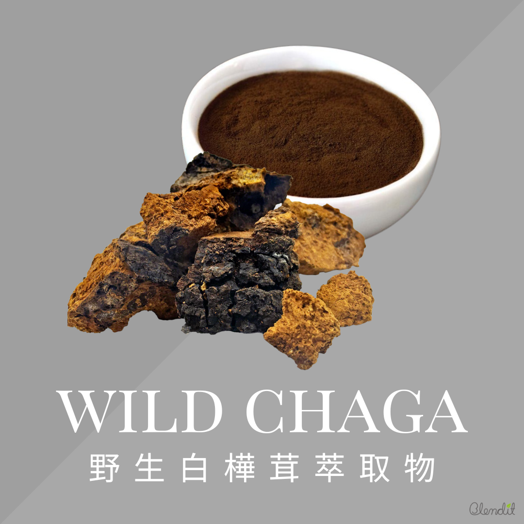 WILD CHAGA EXTRACTS