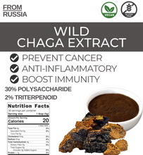 WILD CHAGA EXTRACTS - Siberia